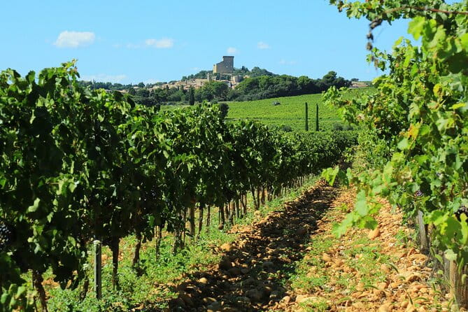 8 Hours Group Tour in Châteauneuf du Pape - Key Points