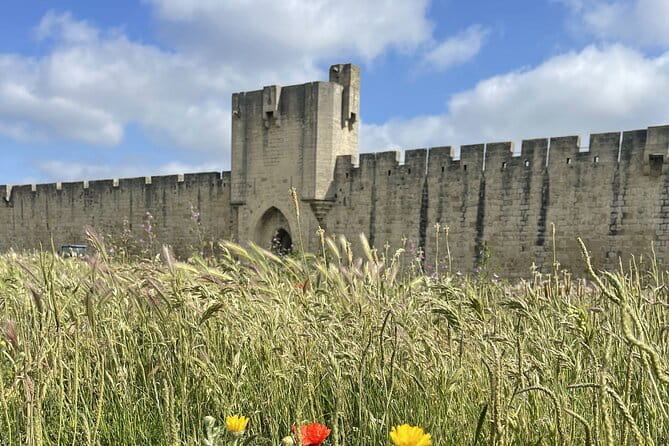8 Hours Visit to the Camargue and the Salins dAigues-Mortes - Key points / Takeaways