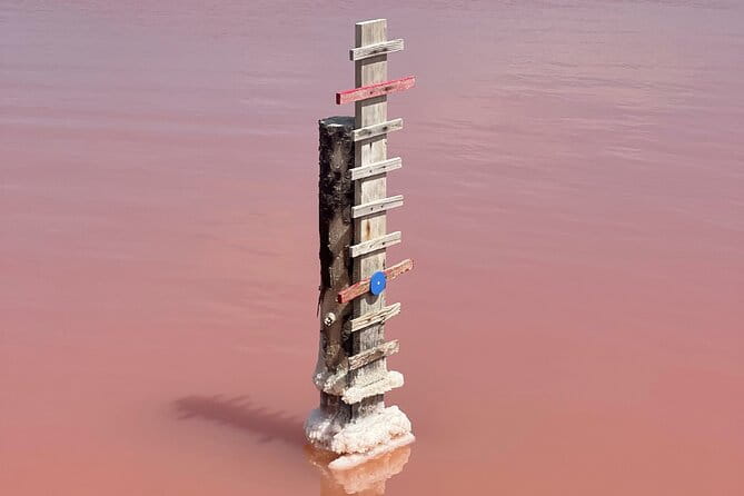 8 Hours Visit to the Camargue and the Salins dAigues-Mortes - Who This Tour Is Best For