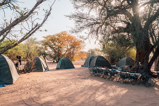 9 Day Etosha, Skeleton Coast and Sossusvlei Camping and Lodge Safari - Key Points