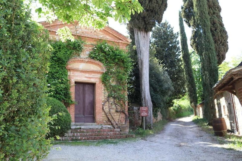 A 16th-century farmhouse between the Crete Senesi and Val d'Orcia, a tour through history and wine. - Key Points / Takeaways