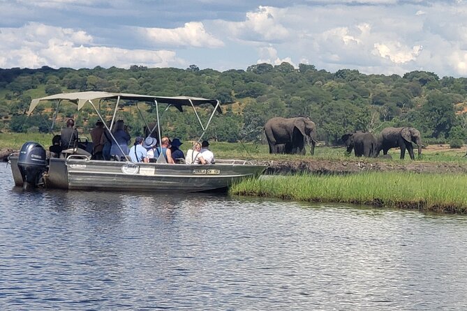 A Chobe Full Day Tour - Botwana - Booking and Cancellation