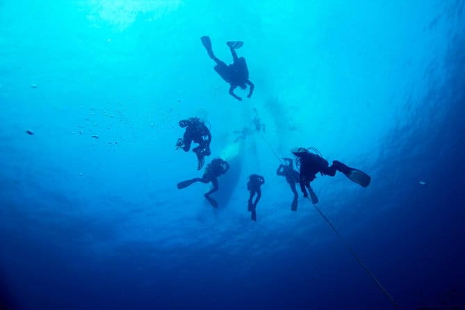 A day at the beach and diving - Final Thoughts: Worth the Price and Experience