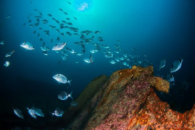 A day at the beach and diving - FAQ