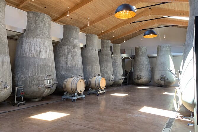 A day in Saint-Emilion in a small group (Electric Luxury Van) - The Experience’s Practical Side