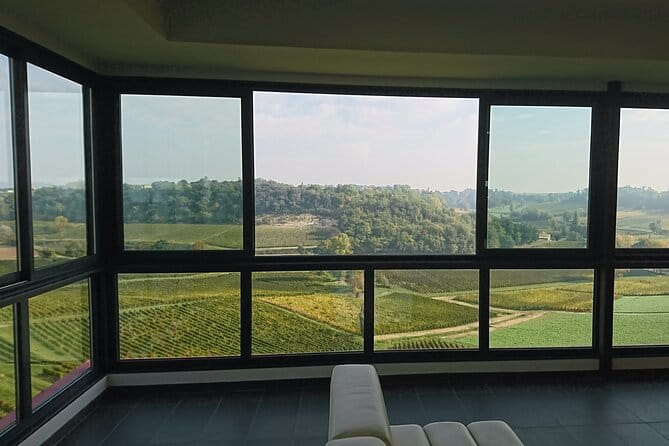 A day in Saint-Emilion in a small group (Electric Luxury Van) - FAQ