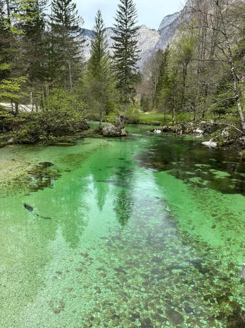 A day trip from Ljubljana: Magical nature and lake Bohinj - A Day Trip from Ljubljana: Magical Nature and Lake Bohinj