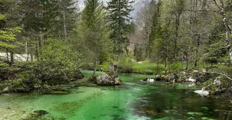 A day trip from Ljubljana: Magical nature and lake Bohinj - Exploring Hidden Trails and Waterfalls