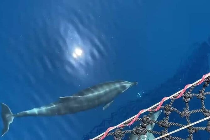 A Day's 3-Island Cruise Tour with Transfer - What’s Included and What’s Not