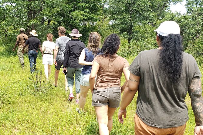 A Game Drive Plus White Rhino Short Walk - Photographic Opportunities Abound