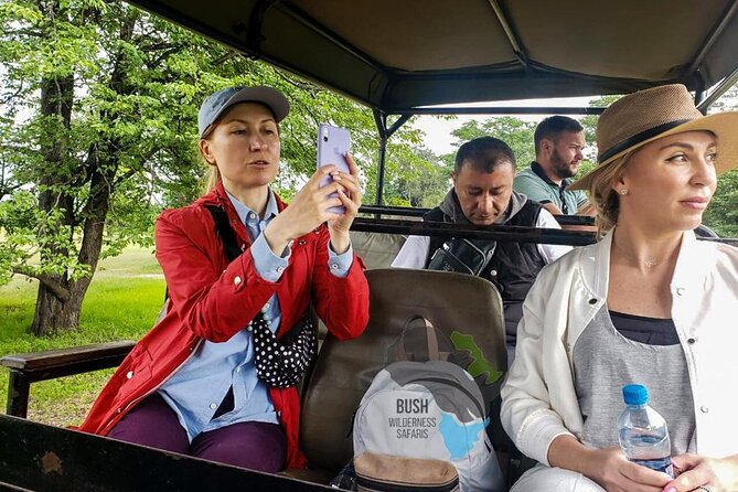 A Game Drive Plus White Rhino Short Walk - Pickup and Logistics