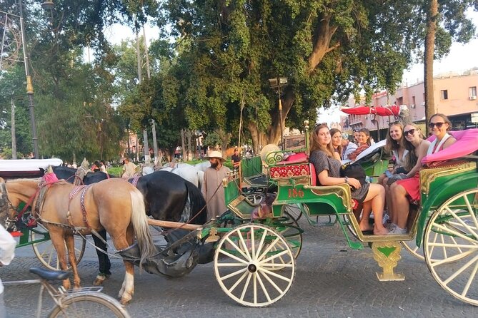A Guided Day on Foot to Visit the Medina of Fes - Highlights of the Tour