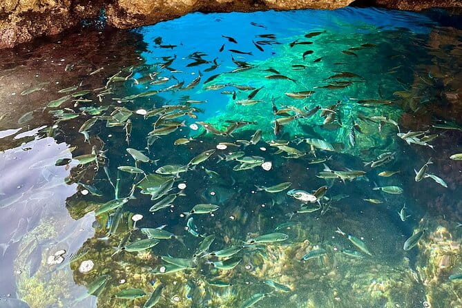 A Relaxing Private Corfu Sea Tour for Cruise Passengers - Final Thoughts