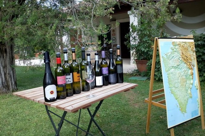 A Sample Of Wine, A Sample Of Istria - A Short But Fulfilled Program - Discovering Istria’s Winemaking Heritage