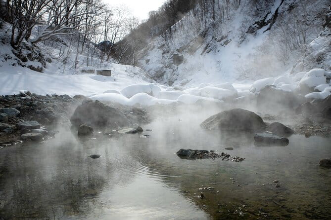 A Secret Wild Outdoor Bath Rotenburo Experience From NAGANO - Booking Your Experience: Tips and Policies