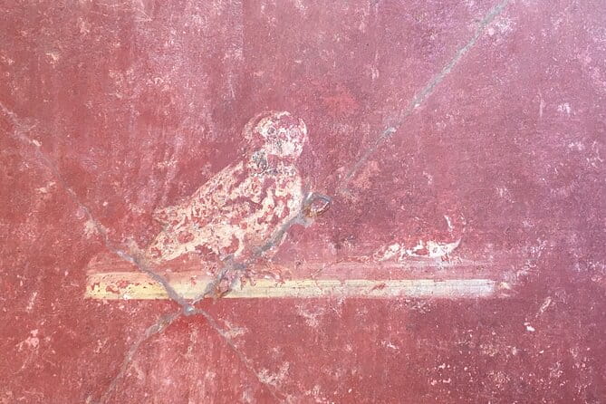 A Taste of Pompeii Archaeological Park from your Home - Key points / Takeaways