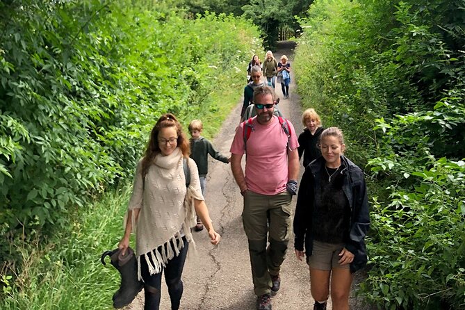 A Tour of Glastonbury, Guided by the Trees. - Glastonbury Tor Exploration