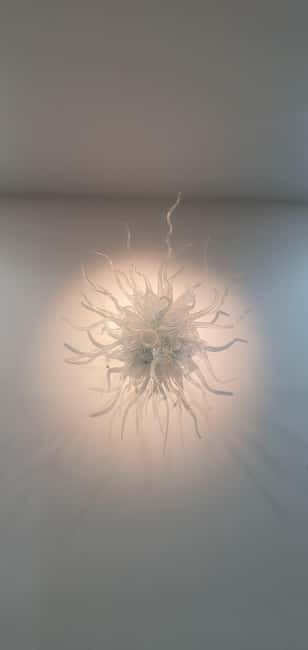 A Unique Belfast City Center Walking Tour - The Ulster Museum: A Gateway to Belfast’s Past and Present