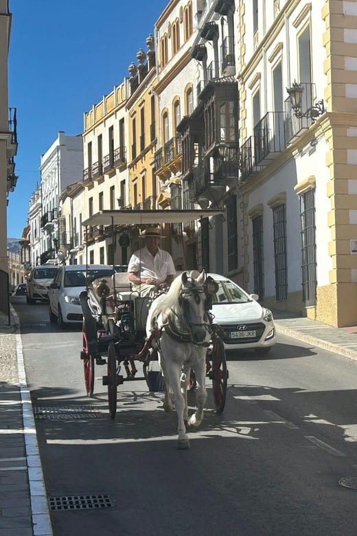 ab Marbella: Private VIP-Tour Ronda incl. Transfer + Tapas - Exploring Ronda: A Personal Journey