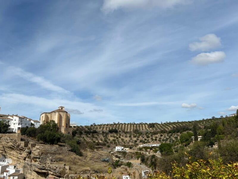 ab Mijas: Private VIP-Tour Ronda und Setenil de las Bodegas - Ideal For