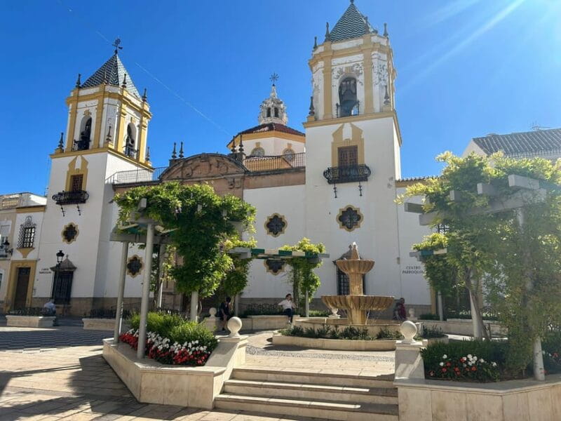 ab Mijas: Private VIP-Tour Ronda und Setenil de las Bodegas - Final Thoughts: Is This Tour Right for You?