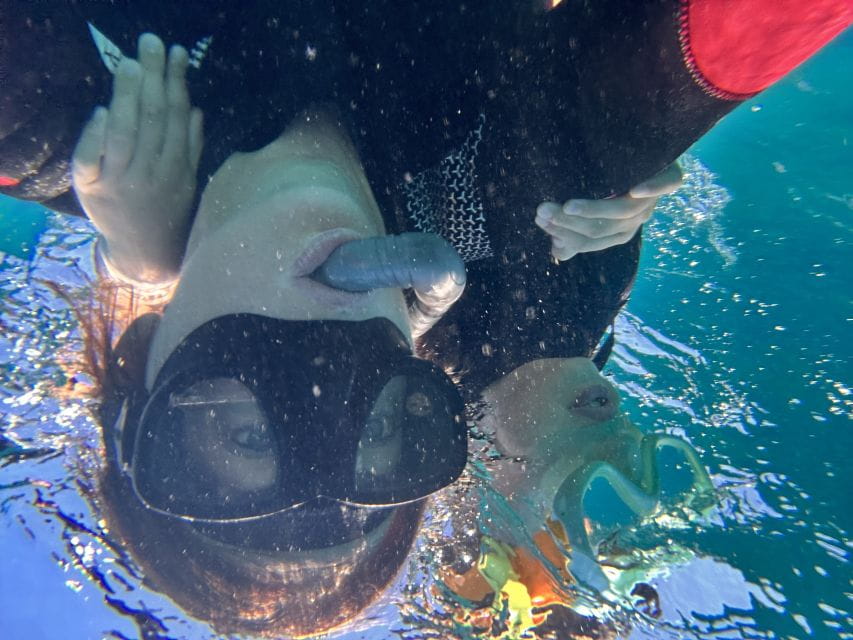 Abades: Guided Snorkeling Tour With Photos - Things To Know