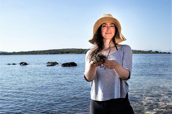 Abalone farm tour and tasting with coastal seaweed walk. Guided. 2 hours - Price and Value Analysis