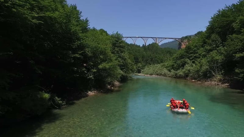 abljak: Half-Day Tara Canyon Rafting Tour - Discovering the majesty of Tara Canyon
