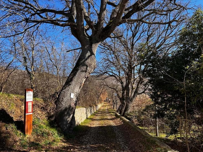 Abruzzo: Incredible e-bike adventures admiring the 4 medieval towers - Fontecchio: A Tranquil Gem