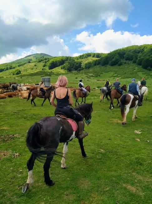 Abruzzo: Simbruini National Park Horseback Daily Adventure - FAQ