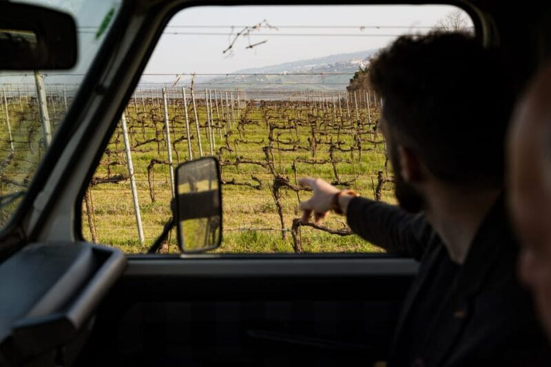 Abruzzo: Vineyard Jeep Tour with Tastings - The Scenic Drive and Vineyards: A Natural Perspective