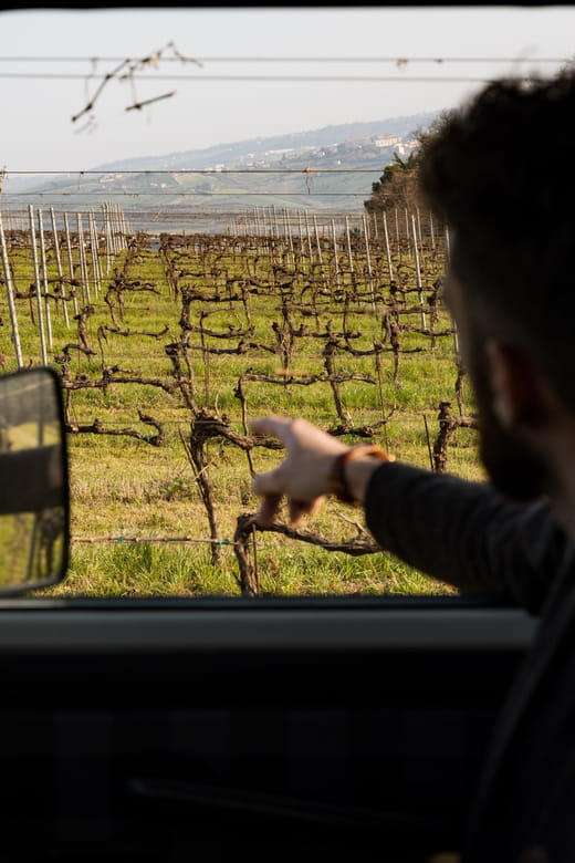 Abruzzo: Vineyard Jeep Tour with Tastings - Who Will Love This Tour?
