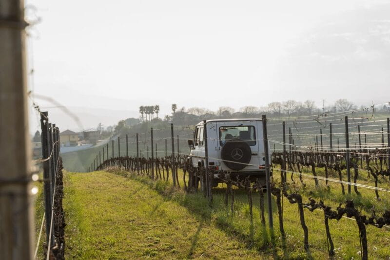 Abruzzo: Vineyard Jeep Tour with Tastings - The Bottom Line