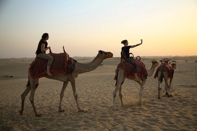 Abu Dhabi Half Day Desert Safari - Barbecue Dinner and Entertainment