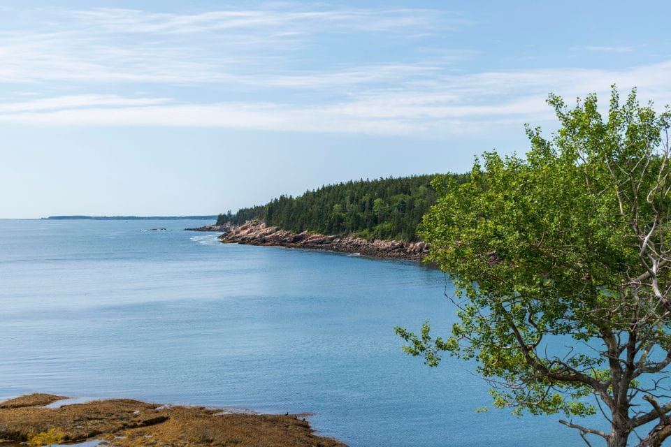 Acadia: Bar Harbor & Ocean Path Self-Guided Audio Tours - What to Bring and Preparation