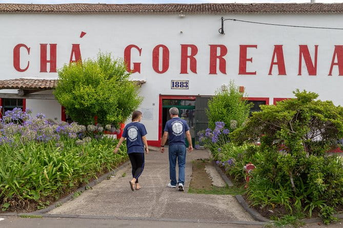 Adapted Van tour - Furnas (Full day) - The Practicalities: What to Expect and Who It’s For