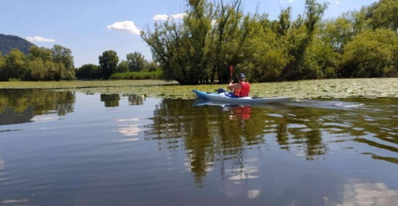 Adda River: Half day Kayak Trip - Key points / Takeaways