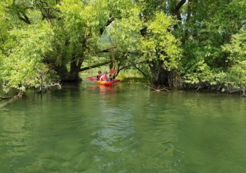 Adda River: Half day Kayak Trip - An In-Depth Look at the Adda River Kayak Experience