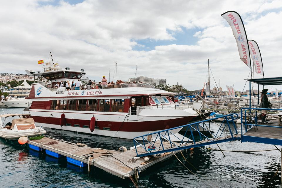 Adeje: Whale and Dolphin Watching With Lunch and Swimming - Things To Know