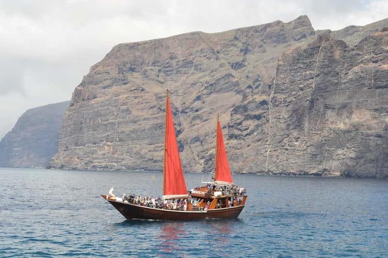 Adeje: Whale Watching Tour to Los Gigantes with lunch & swim - Who Should Consider This Tour?