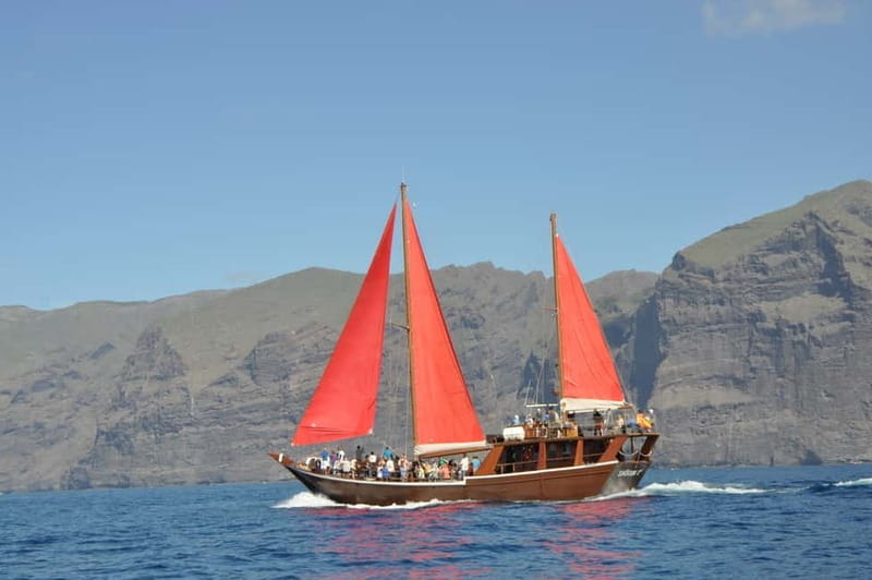 Adeje: Whale Watching Tour to Los Gigantes with lunch & swim - Price and Logistics: Is It Worth Booking?
