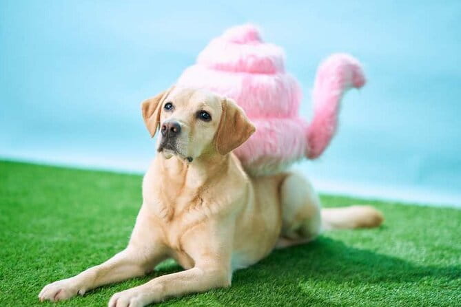 Admission Ticket to Unko Museum in Tokyo - Age Restrictions and Student IDs