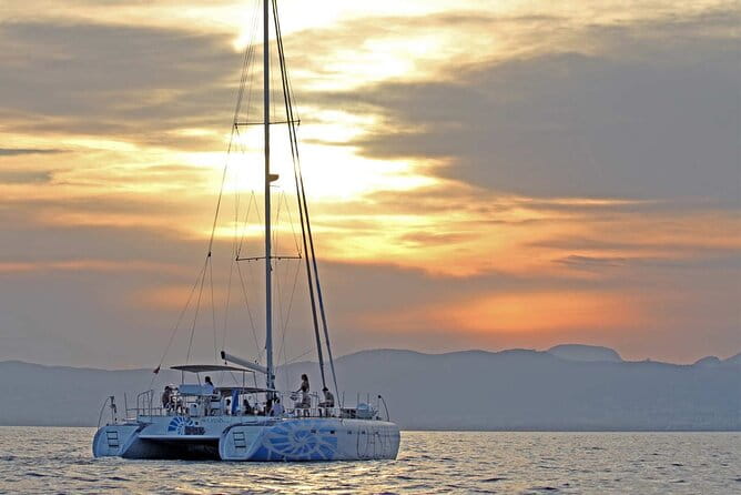 Adult Only Sunset Catamaran Palma bay - Key points / Takeaways