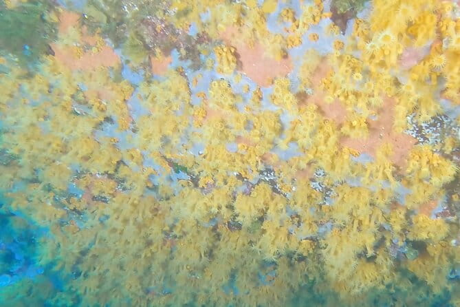 Advanced Open Water Diver course - Why This Course Stands Out