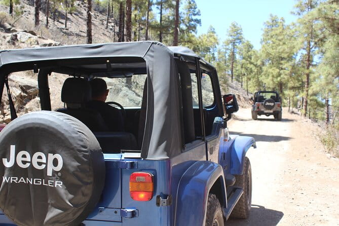 Adventure Driving Jeep Tour in Gran Canaria - Key Points and Takeaways