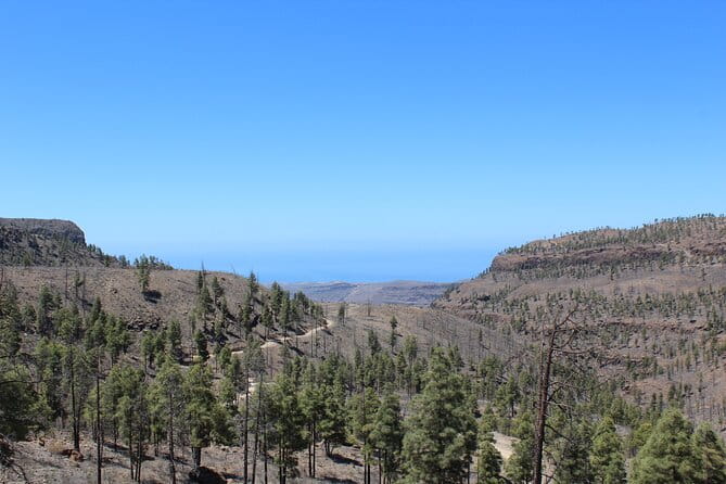 Adventure Driving Jeep Tour in Gran Canaria - Is It Worth the Price?