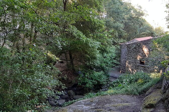 Adventure in Serra de Monchique - 4 Hours - The Itinerary: What to Expect and Why It Matters