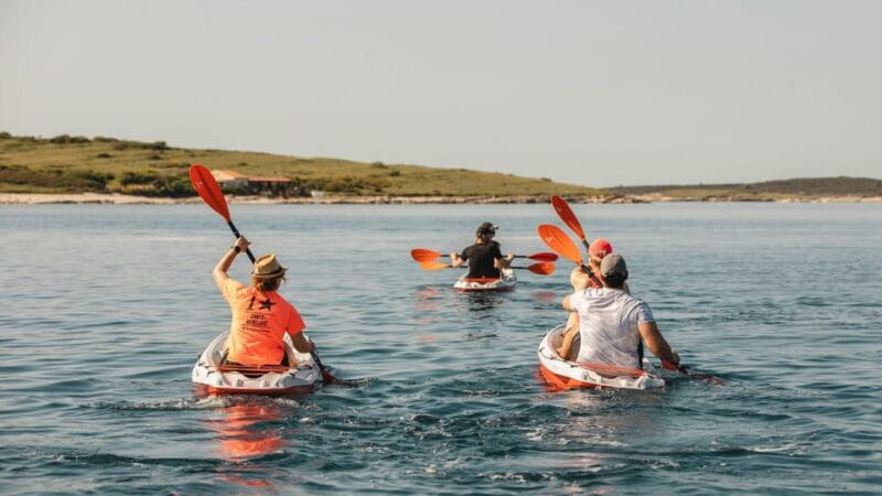 ADVENTURE KAYAK TOUR SEAGULLS ROCKS AND MILITARY ZONE - Who This Tour Suits Best