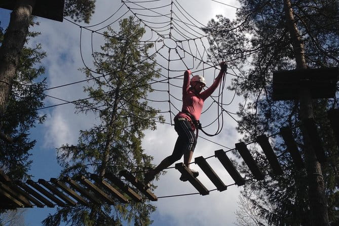 Adventure parc - Entering the Adventure Parc: A Forest Challenge in Fjällnora
