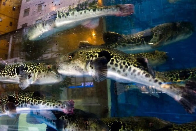 Adventurous Japanese Food Tour in Tokyo - Preparing for an Unforgettable Culinary Adventure